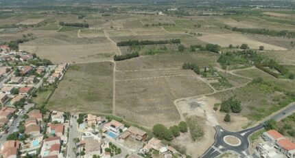 Ponteilla Terrain à bâtir - 2343671-4671annonce120251120HZApd.jpeg Maisons Open