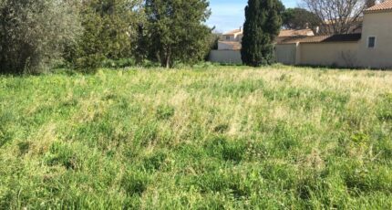 Salon-de-Provence Terrain à bâtir - 2310788-3969annonce120251020tuSvh.jpeg Maisons Open
