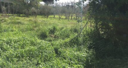 Salon-de-Provence Terrain à bâtir - 2310788-3969annonce220251020WICEi.jpeg Maisons Open