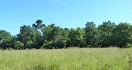 Landiras Terrain à bâtir - 2343954-5612annonce120250704izX0h.jpeg Maisons Open