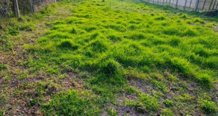 Salles Terrain à bâtir - 2343790-11151annonce120250620b0gfD.jpeg Maisons Open