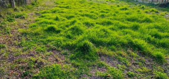 Terrain à bâtir à Salles, Nouvelle-Aquitaine