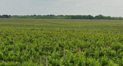 Portets Terrain à bâtir - 2344001-5612annonce120251120azyPl.jpeg Maisons Open