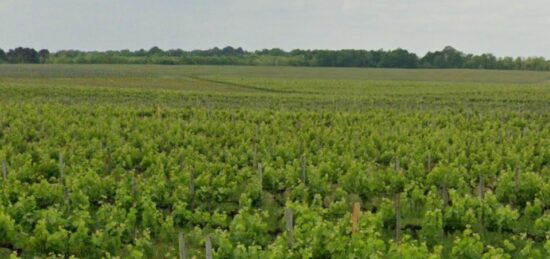 Terrain à bâtir à Portets, Nouvelle-Aquitaine