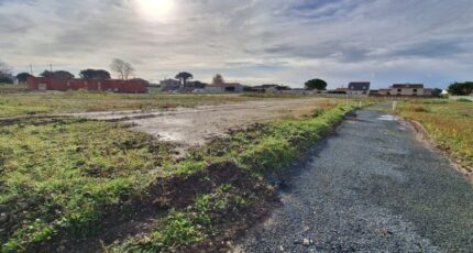 Saint-Georges-de-Didonne Terrain à bâtir - 2344163-3362annonce120251120XZZzr.jpeg Maisons Open