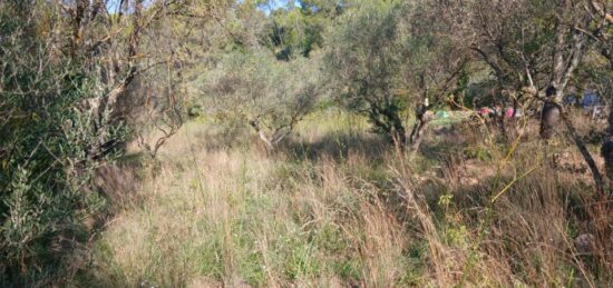 Terrain à bâtir à Carnoules, Provence-Alpes-Côte d'Azur