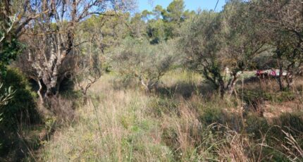 Carnoules Terrain à bâtir - 2344189-5922annonce220251120UmTR9.jpeg Maisons Open