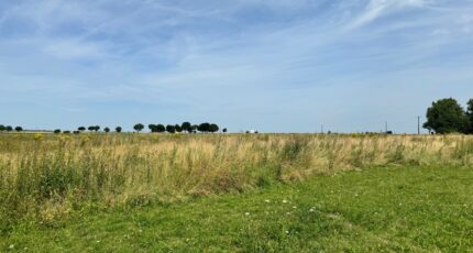 Vitry-en-Artois Terrain à bâtir - 2304333-10063annonce120251013hJcDP.jpeg Maisons Open