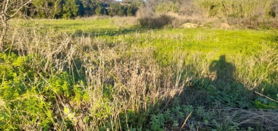 Terrain à bâtir à Cuers, Provence-Alpes-Côte d'Azur