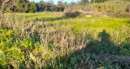 Puget-Ville Terrain à bâtir - 2345505-4866annonce120251121wU5sa.jpeg Maisons Open