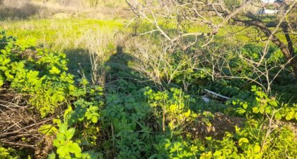 Solliès-Pont Terrain à bâtir - 2345514-4866annonce120251121ZDLOW.jpeg Maisons Open