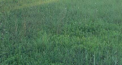 La Valette-du-Var Terrain à bâtir - 2345464-4866annonce120251121dHSu7.jpeg Maisons Open