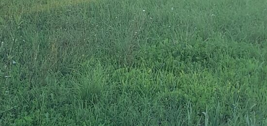 Terrain à bâtir à La Valette-du-Var, Provence-Alpes-Côte d'Azur