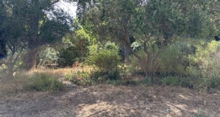 Le Pradet Terrain à bâtir - 2301499-4590annonce220251010HnKau.jpeg Maisons Open