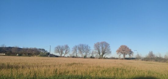 Terrain à bâtir à Aubais, Occitanie