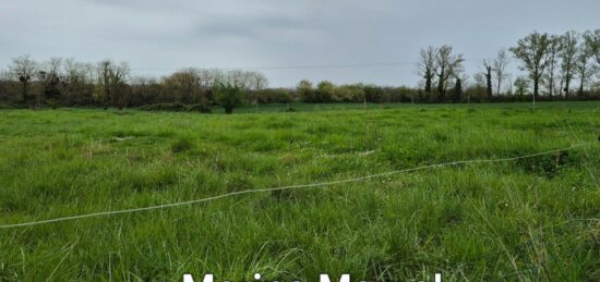 Terrain à bâtir à Fourques-sur-Garonne, Nouvelle-Aquitaine