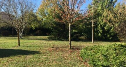 La Salvetat-Saint-Gilles Terrain à bâtir - 2344606-9555annonce1202511202Tu0J.jpeg Maisons Open