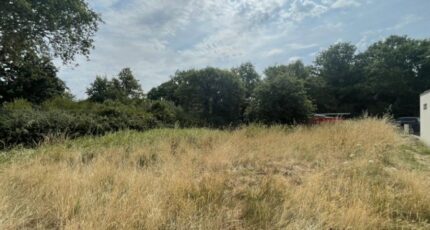 La Bernerie-en-Retz Terrain à bâtir - 2345154-11110annonce320251121M4RqE.jpeg Maisons Open