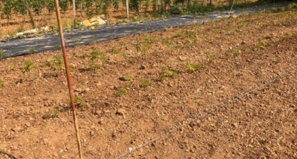 Créon Terrain à bâtir - 2346369-3601annonce120251122eTW0a.jpeg Maisons Open