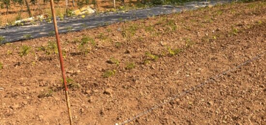 Terrain à bâtir à Créon, Nouvelle-Aquitaine