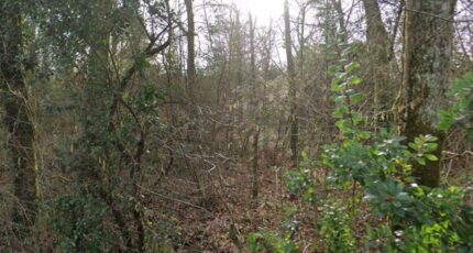 La Brède Terrain à bâtir - 2346398-3601annonce120251122LOULa.jpeg Maisons Open