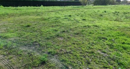 Lamothe-Montravel Terrain à bâtir - 2346624-11687annonce420251122rd3B8.jpeg Maisons Open