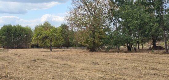 Terrain à bâtir à La Force, Nouvelle-Aquitaine