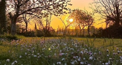 Cézac Terrain à bâtir - 2347106-11687annonce220251124ukxCi.jpeg Maisons Open