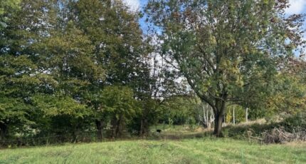 Ennevelin Terrain à bâtir - 2306392-11632annonce120251015RO2S1.jpeg Maisons Open