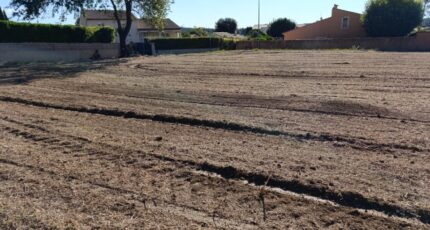 Montarnaud Terrain à bâtir - 2282090-3243annonce120241001krGKp.jpeg Maisons Open