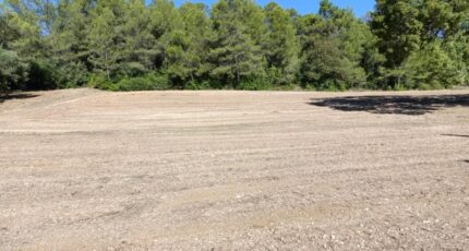 Montarnaud Terrain à bâtir - 2282090-3243annonce2202410017UvBH.jpeg Maisons Open