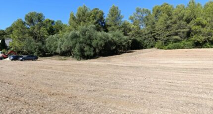 Montarnaud Terrain à bâtir - 2282087-3243annonce2202505145y3Mn.jpeg Maisons Open