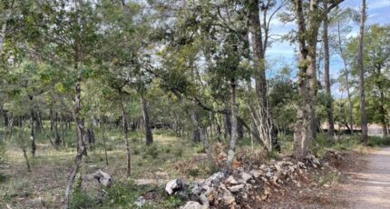 Le Thoronet Terrain à bâtir - 2282074-9911annonce120250924C5vgC.jpeg Maisons Open