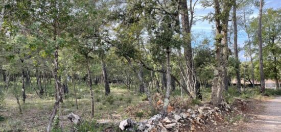 Terrain à bâtir à Le Thoronet, Provence-Alpes-Côte d'Azur