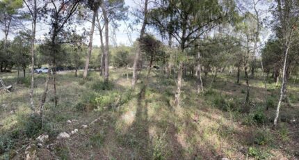 Le Thoronet Terrain à bâtir - 2282074-9911annonce2202509241Nqnk.jpeg Maisons Open