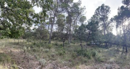 Le Thoronet Terrain à bâtir - 2282074-9911annonce320250924ETIWA.jpeg Maisons Open