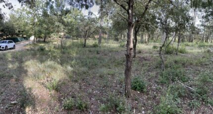 Le Thoronet Terrain à bâtir - 2282074-9911annonce420250924F9NAG.jpeg Maisons Open