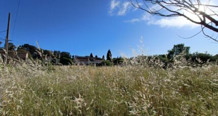 La Motte Terrain à bâtir - 2282531-9911annonce5202509242sSWX.jpeg Maisons Open