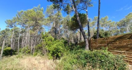 Bagnols-en-Forêt Terrain à bâtir - 2282102-9911annonce52025092430XF6.jpeg Maisons Open