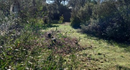 Le Cannet-des-Maures Terrain à bâtir - 2282040-9911annonce120250924Ao2LF.jpeg Maisons Open