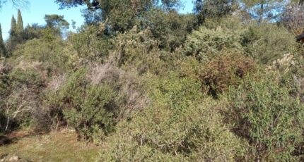 Le Cannet-des-Maures Terrain à bâtir - 2282040-9911annonce220250924P9ubI.jpeg Maisons Open