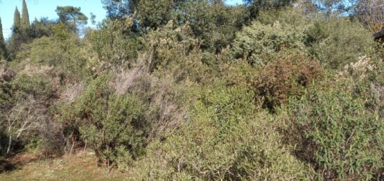 Terrain à bâtir à , Var