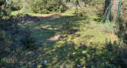 Le Cannet-des-Maures Terrain à bâtir - 2282040-9911annonce320250924TJifT.jpeg Maisons Open