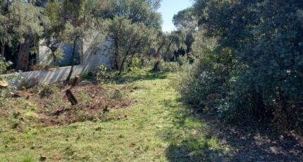 Le Cannet-des-Maures Terrain à bâtir - 2282040-9911annonce5202509243dweL.jpeg Maisons Open