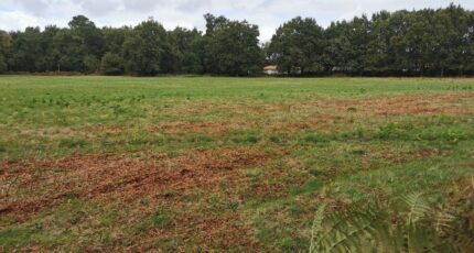 Hourtin Terrain à bâtir - 2347392-3957annonce120251124THtdC.jpeg Maisons Open