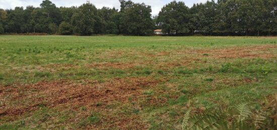 Terrain à bâtir à Hourtin, Nouvelle-Aquitaine