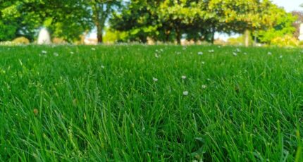 Hourtin Terrain à bâtir - 2347389-3957annonce120251124JAnVs.jpeg Maisons Open