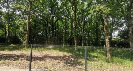 Audenge Terrain à bâtir - 2347370-3957annonce120251124KenhX.jpeg Maisons Open