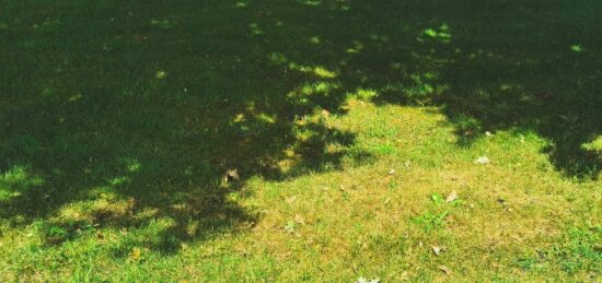 Terrain à bâtir à Hourtin, Nouvelle-Aquitaine