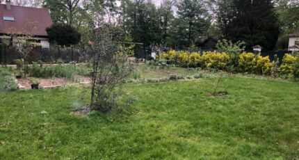 Conflans-Sainte-Honorine Terrain à bâtir - 2308380-7109annonce120251016JyqzE.jpeg Maisons Open